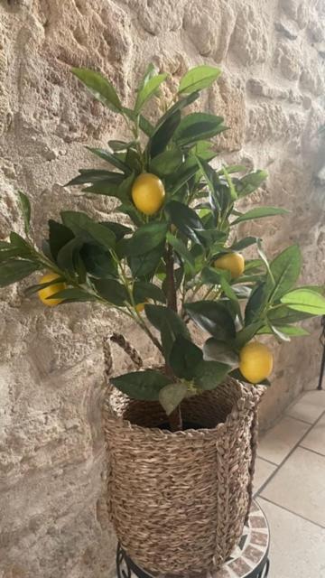 L'Isle Appartement Beaucaire  Buitenkant foto